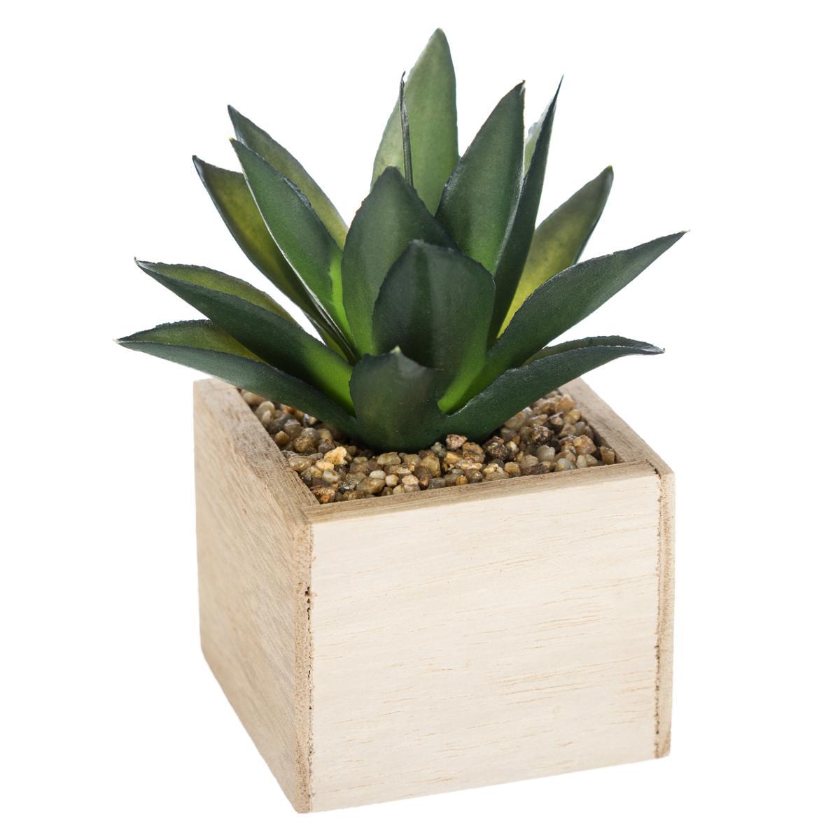 PLANTE VERTE BOIS CHIC H.14CM
