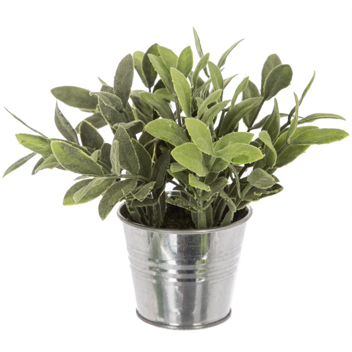 PLANTE POT ZINC D.8X17CM