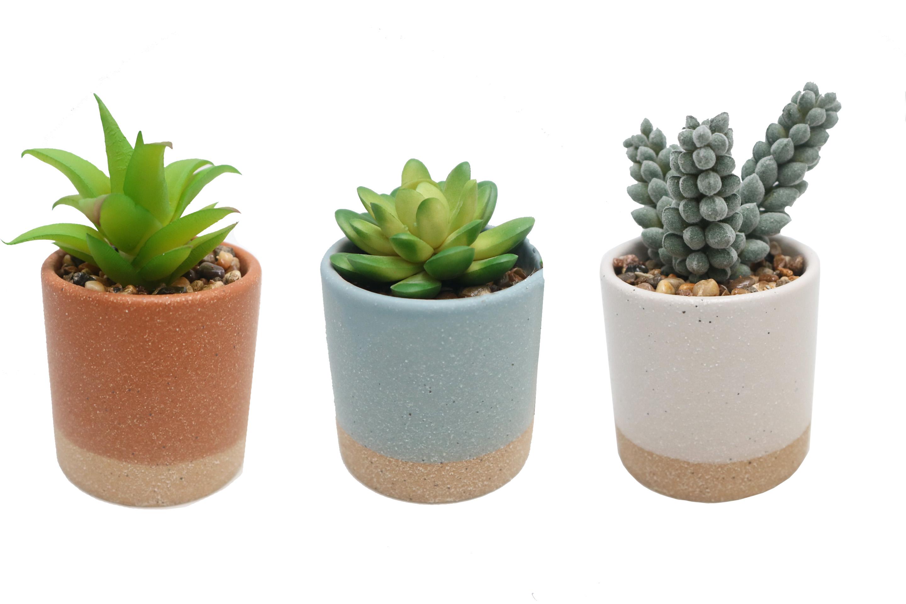 SUCCULENTES POT CERAMIQUE ROND H.10CM