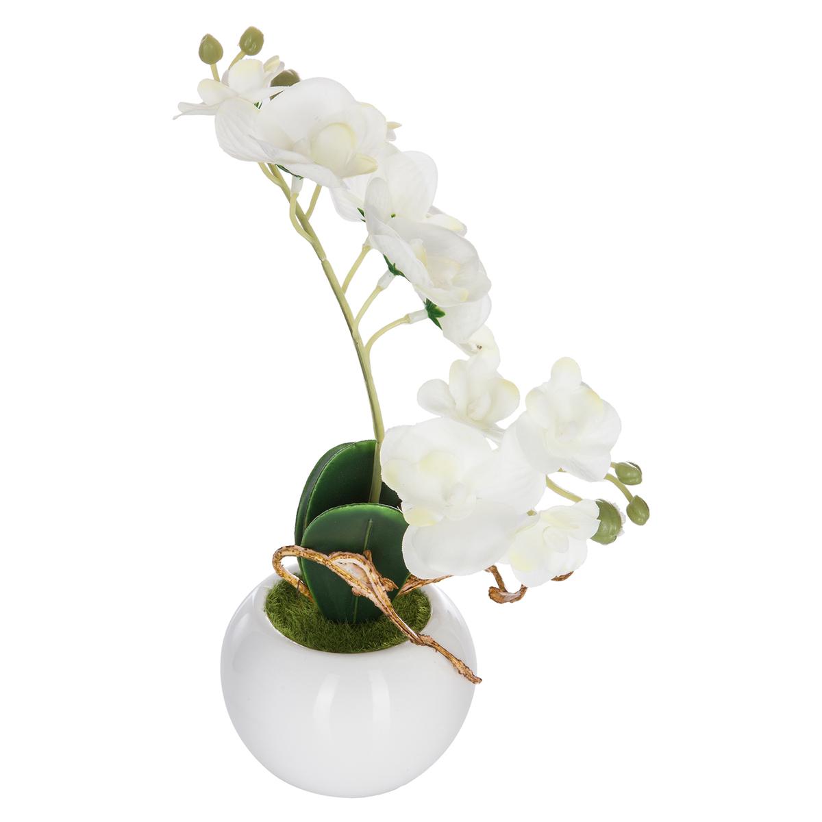 ORCHIDEE POT CERAMIQUE H.25CM