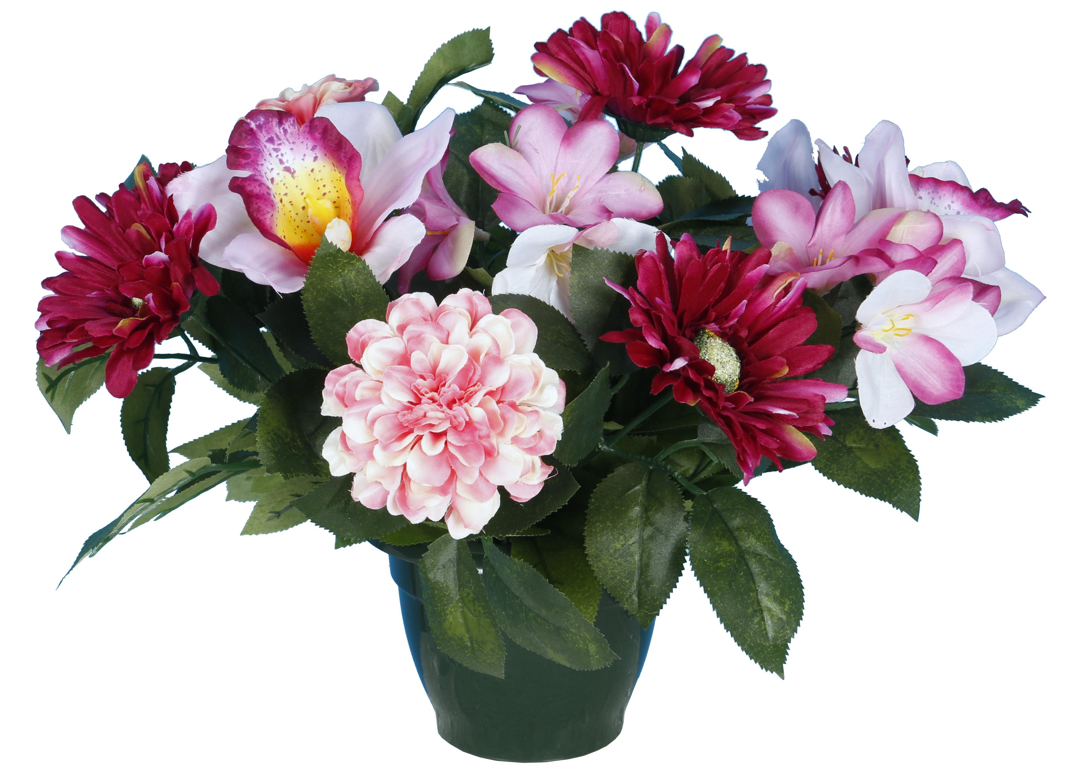 POT ZINIAS ORCHIDEES GERBERAS