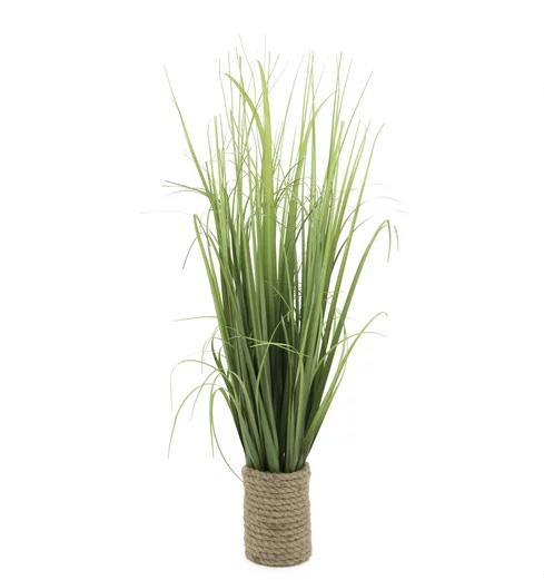 GRAMINEES POT CORDE H.65CM