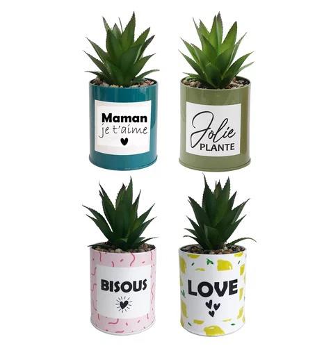 POT MESSAGE METAL COLORE SUCCULENTE H.17CM