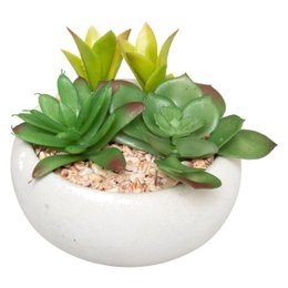 PLANTE GRASSE POT CIMENT H.10CM
