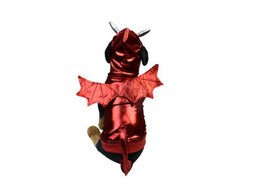 COSTUME DRAGON HALLOWEEN ANIMAUX 30CM OU 35CM