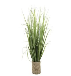 GRAMINEES POT CORDE H.65CM