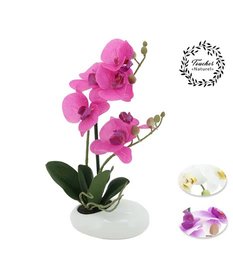 ORCHIDEES X2 TOUCHER NATUREL COUPE CERAMIQUE H.36CM