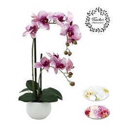 ORCHIDEES X2 TOUCHER NATUREL POT CERAMIQUE BLANC H.51CM