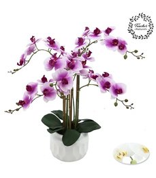 ORCHIDEES X6 TOUCHER NATUREL COUPE CERAMIQUE BLANC H.55CM