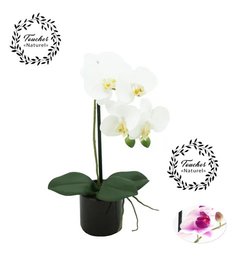 ORCHIDEES NATUREL POT CERAMIQUE NOIR H.36CM
