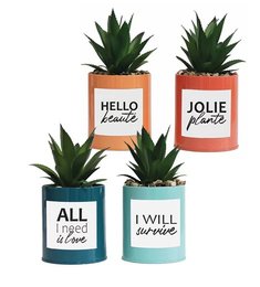 POT MESSAGE METAL COLORE SUCCULENTE H.17CM