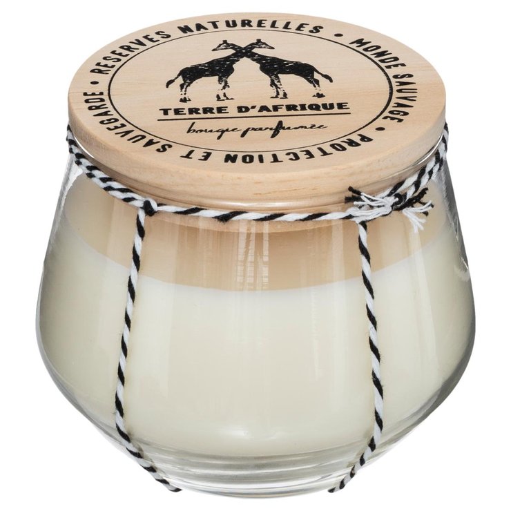 BOUGIE PARFUMEE VERRE BOIS SAFARI 295G