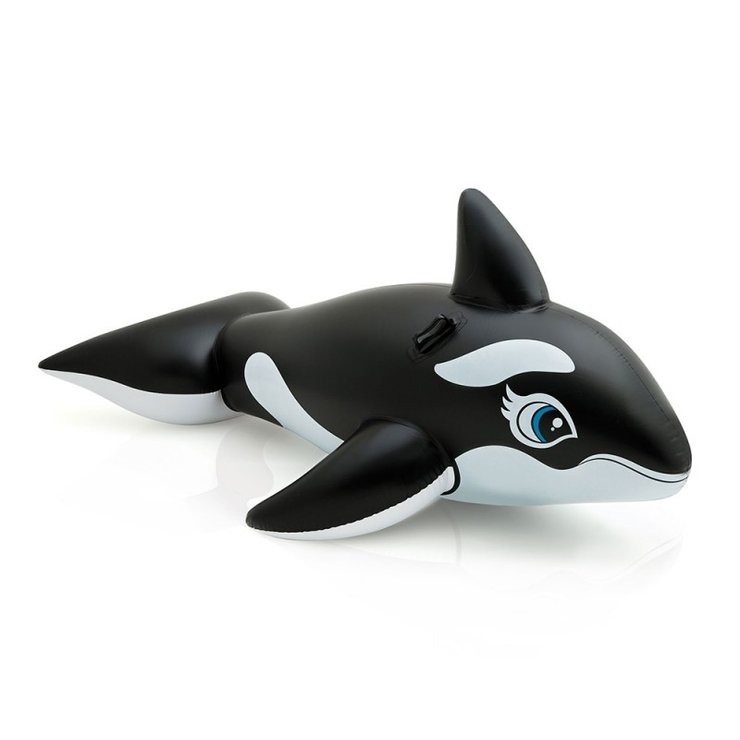 GRANDE BALEINE A CHEVAUCHER