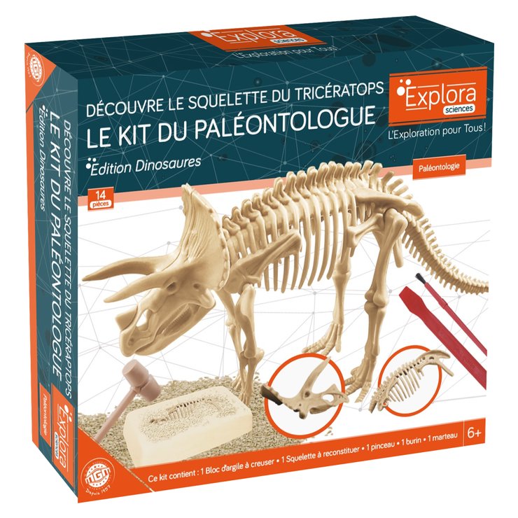 KIT PALONTOLOGUE TRICERATOPS 14 PIECES