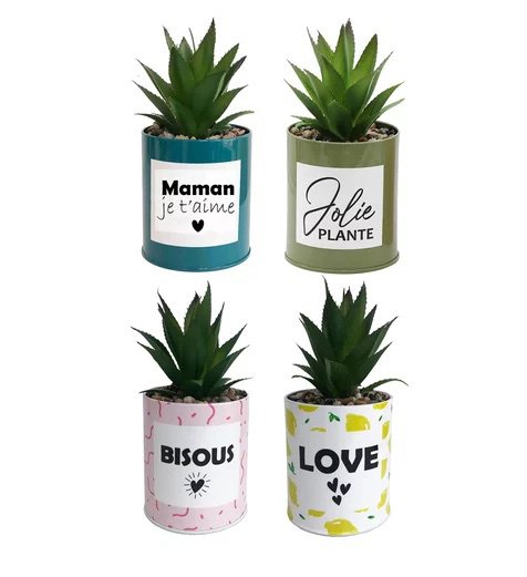 POT MESSAGE METAL COLORE SUCCULENTE H.17CM