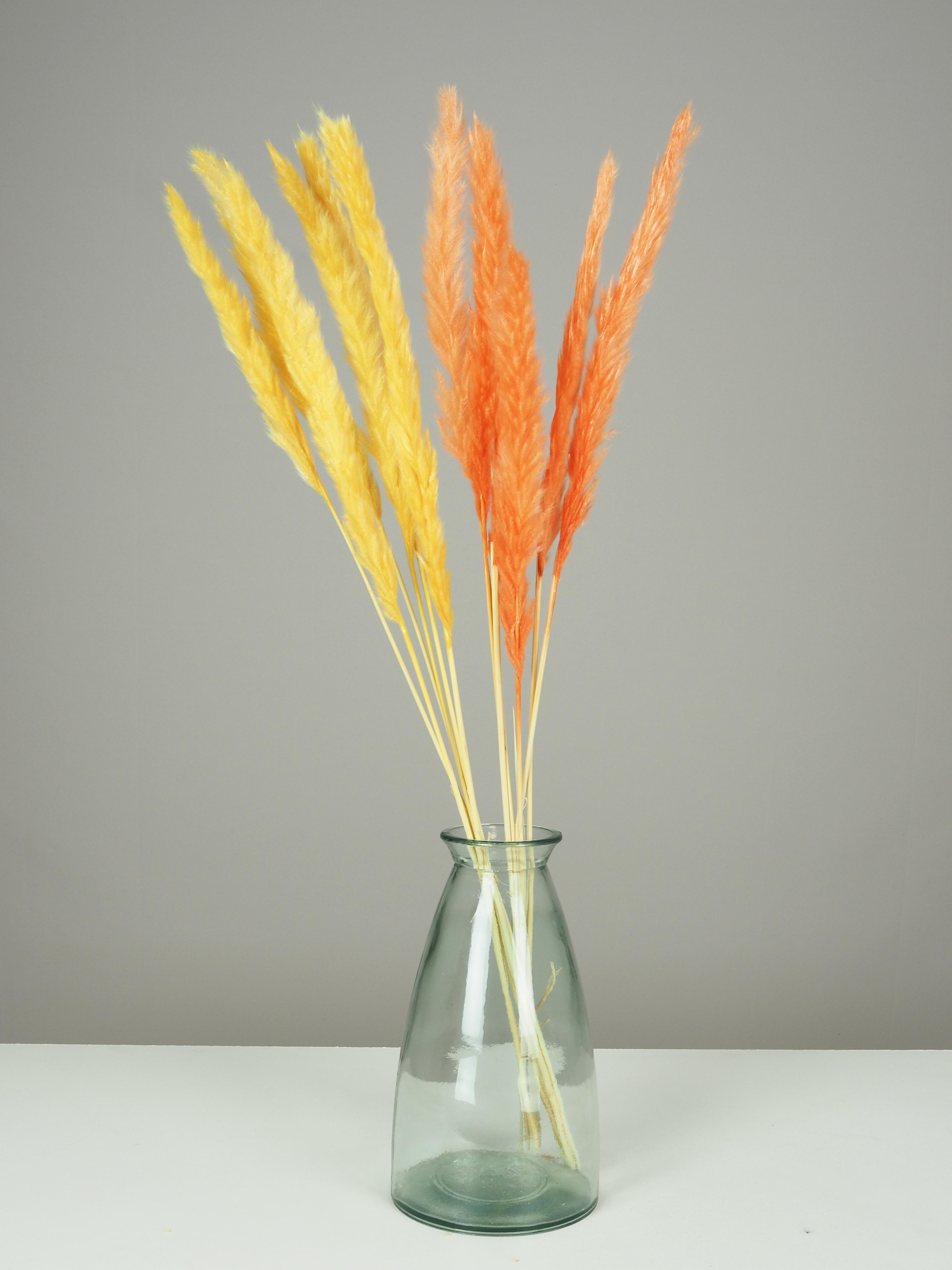 PLUMEAU PAMPA NATUREL H.90CM JAUNE ET ORANGE X6 PIECES
