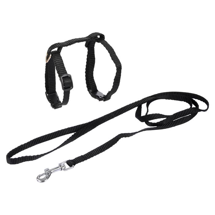 KIT HARNAIS ET LAISSE POUR CHAT 20 A 30CM 120CM NOIR