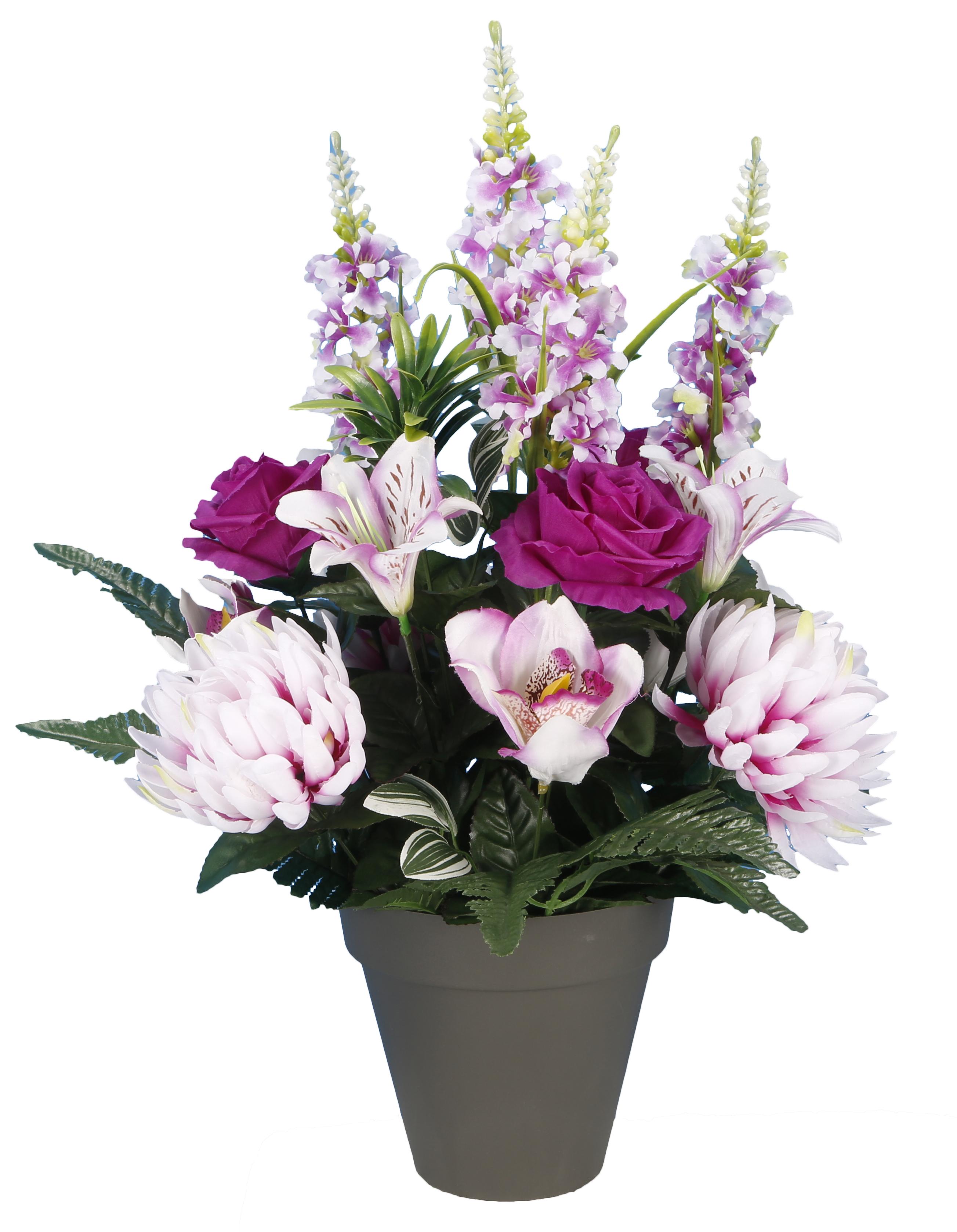 POT CHRYSANTHEMES ROSES DELPHINIUMS
