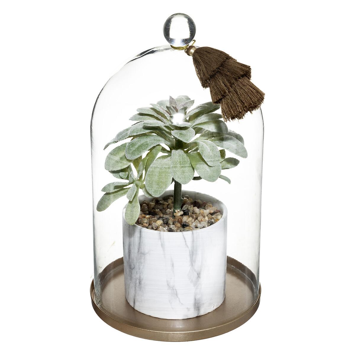 PLANTE ET CLOCHE BASE METAL SUITE