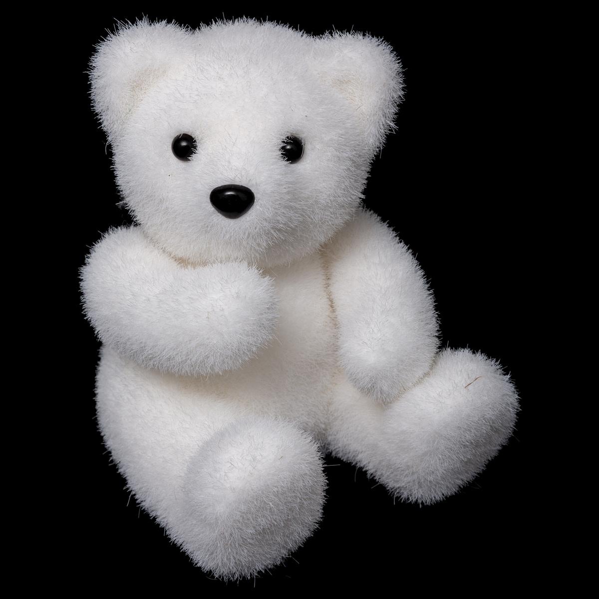 Ours assis on sale