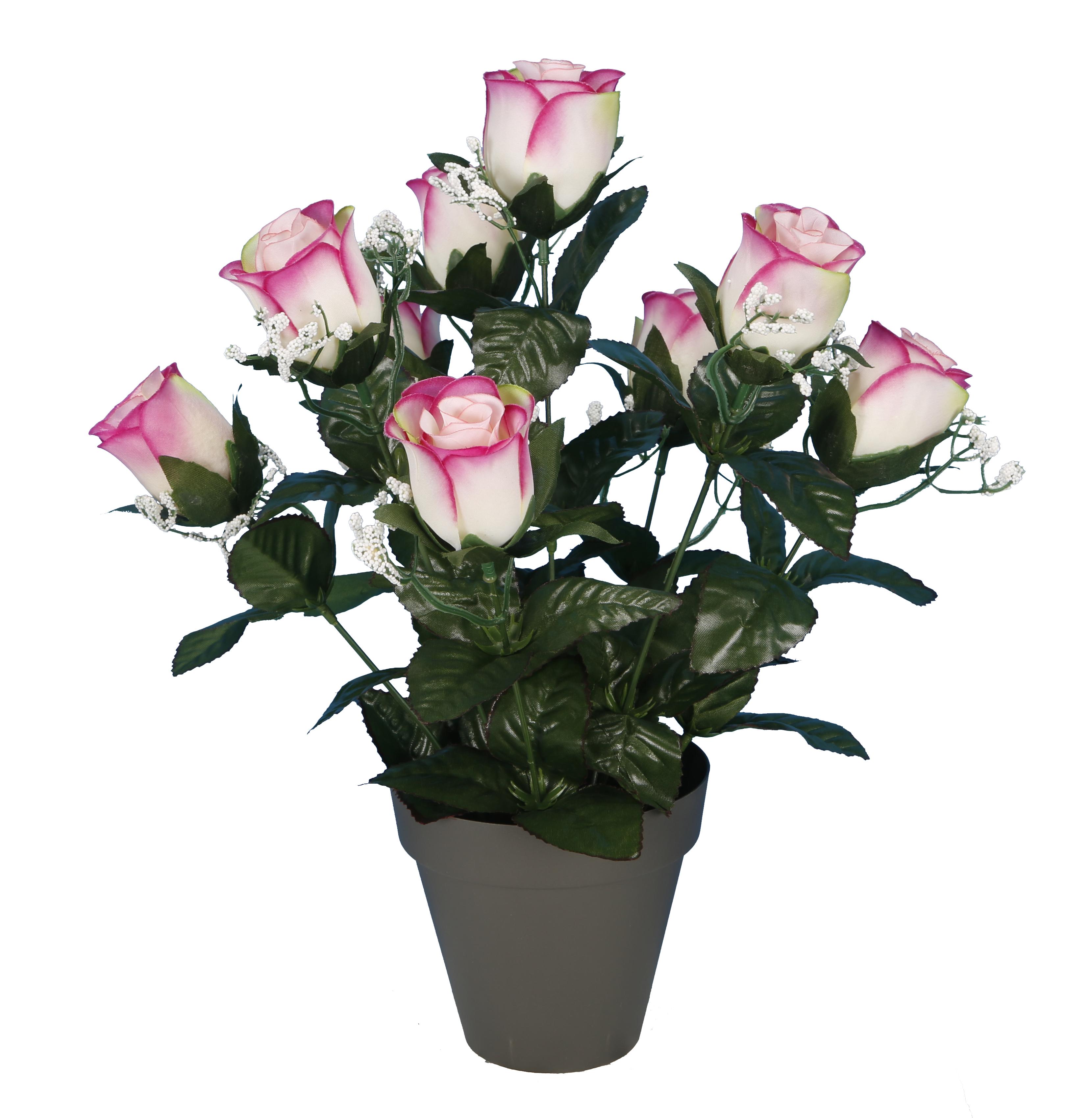 POT BOUTONS DE ROSES
