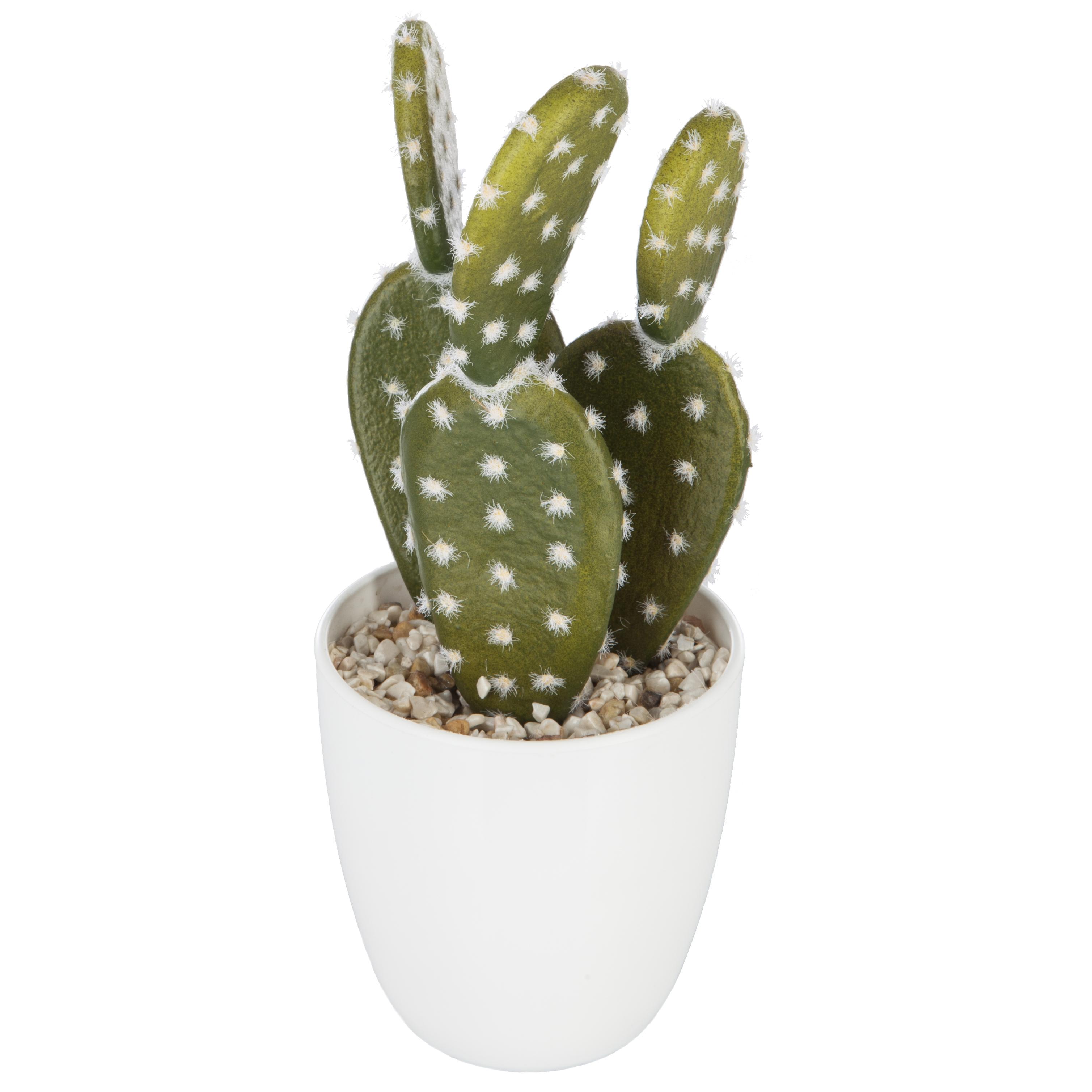 SUCCULENTE CACTUS H.18CM