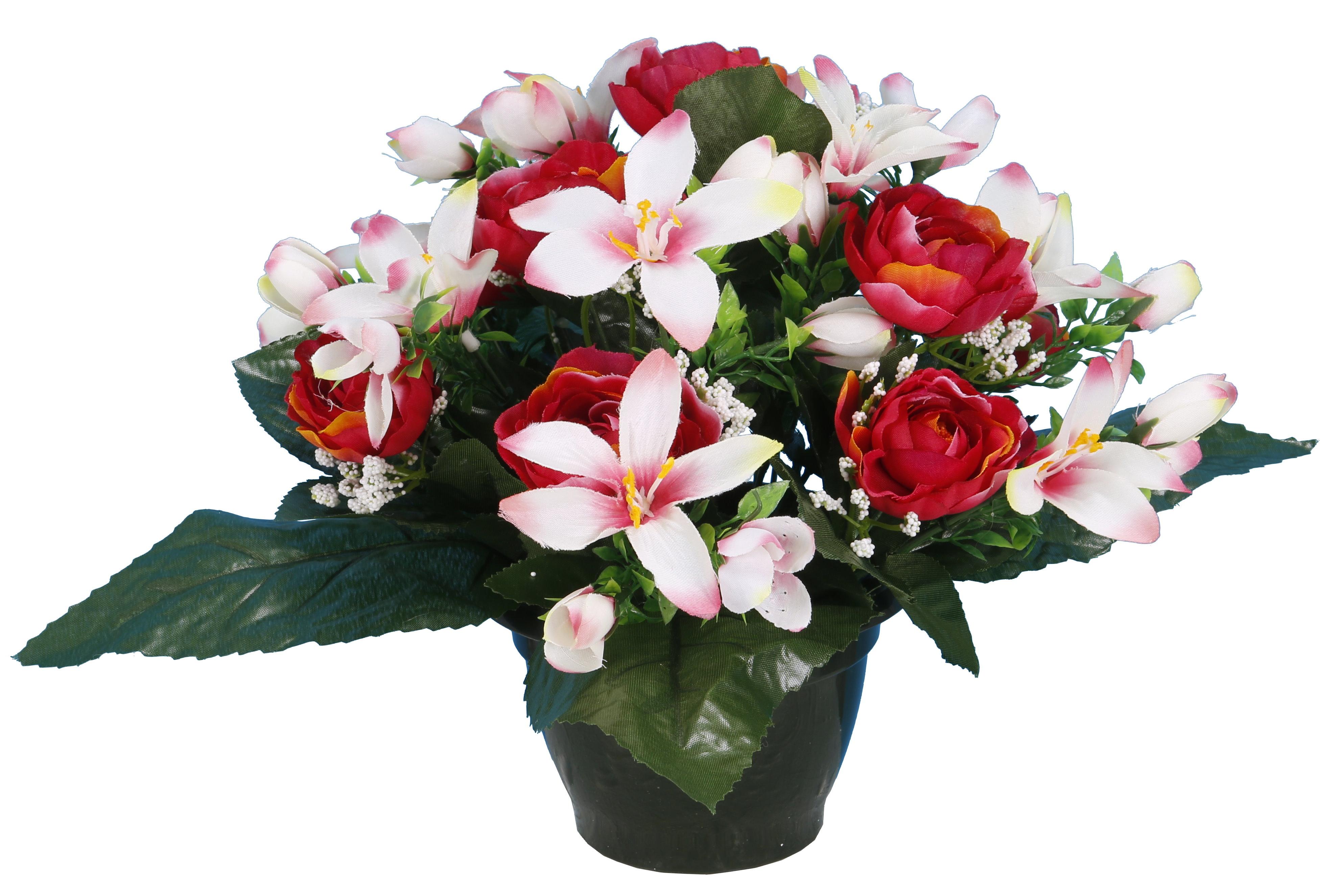 POT RENONCULES FLEURETTES