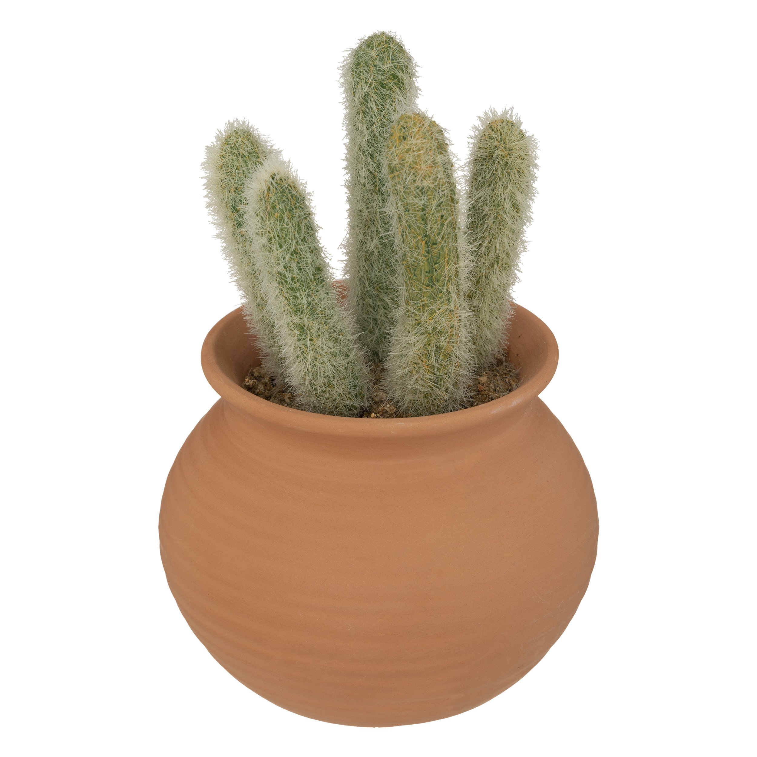 Petits pots de fleurs décoratifs, petits pots de fleurs pour cactus, 15 cm  (5 pièces)