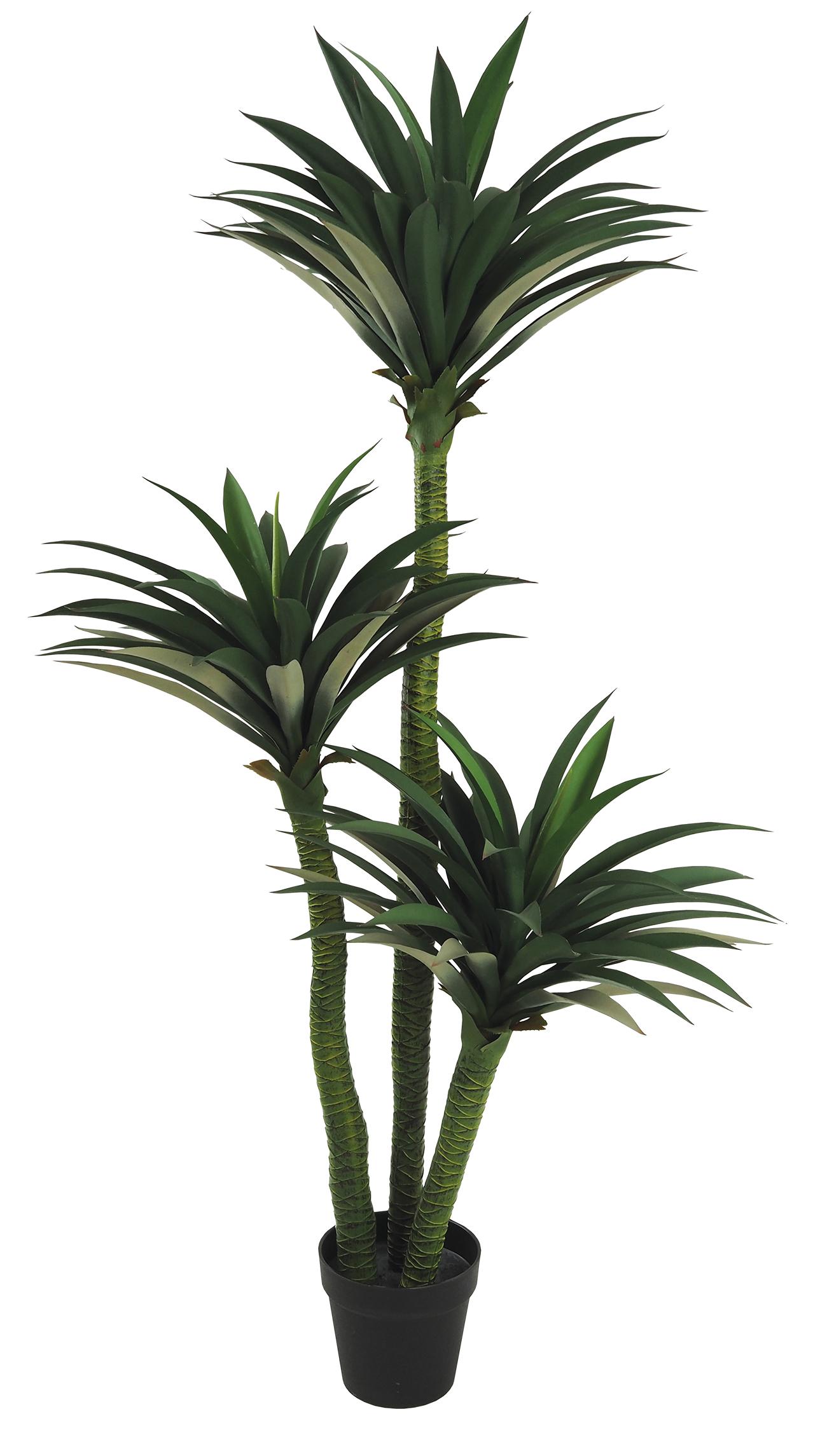 YUCCA 3 TRONCS 170 FEUILLES POT H.160CM