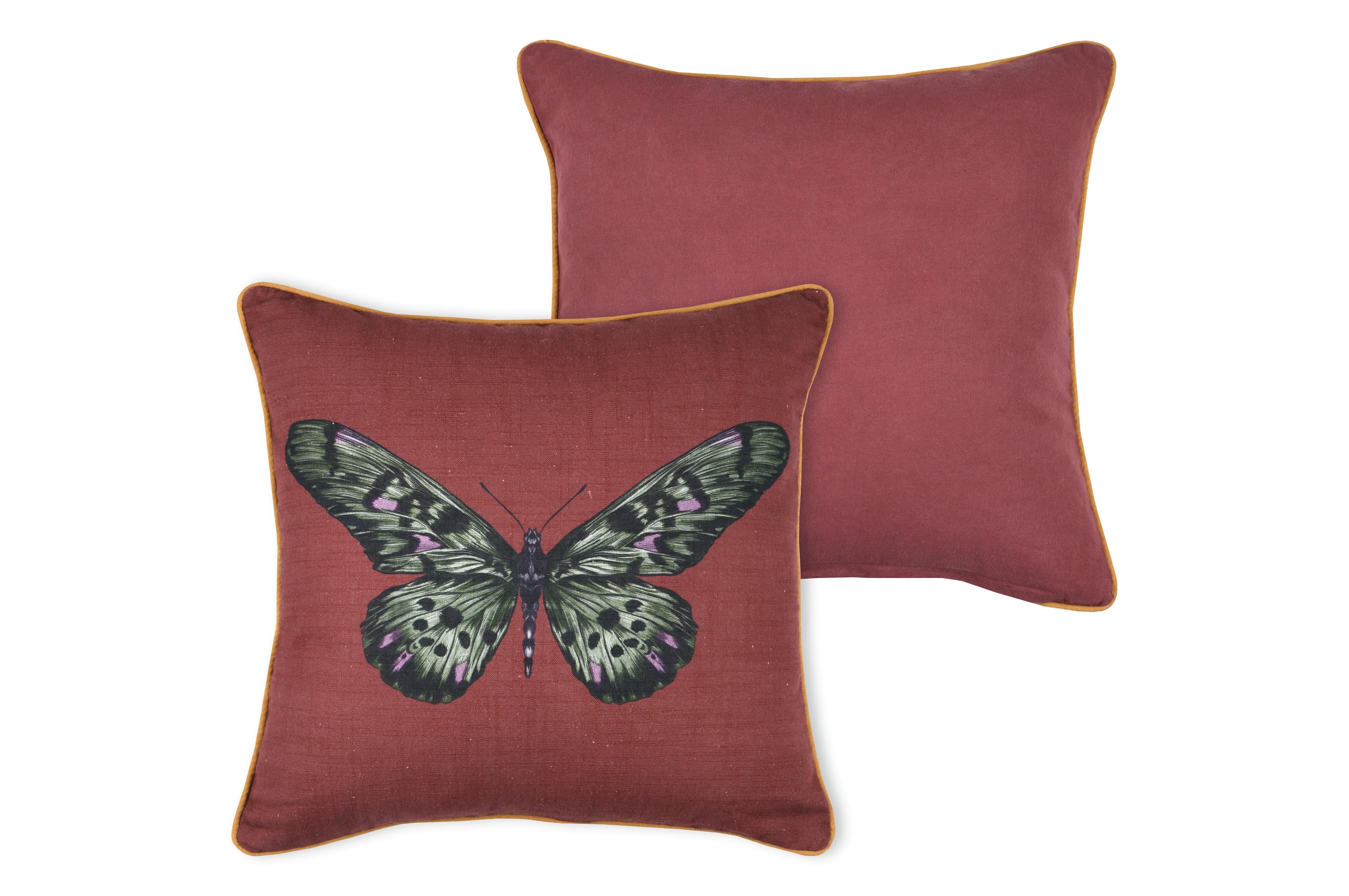 CURIOSITY COUSSIN 40X40CM GRENACHE