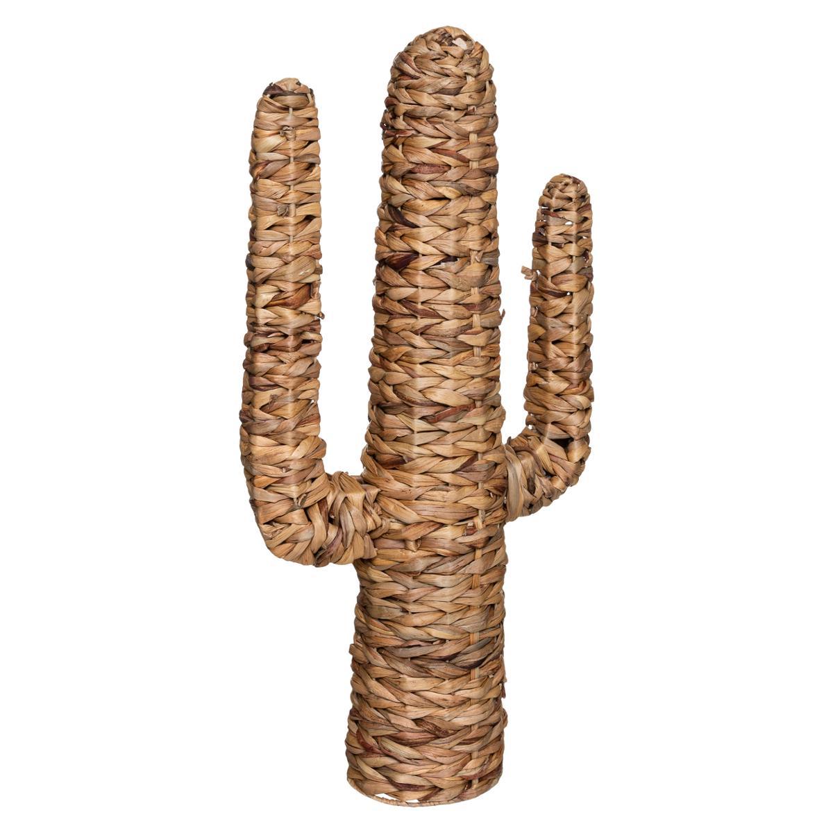 CACTUS HACIENDA