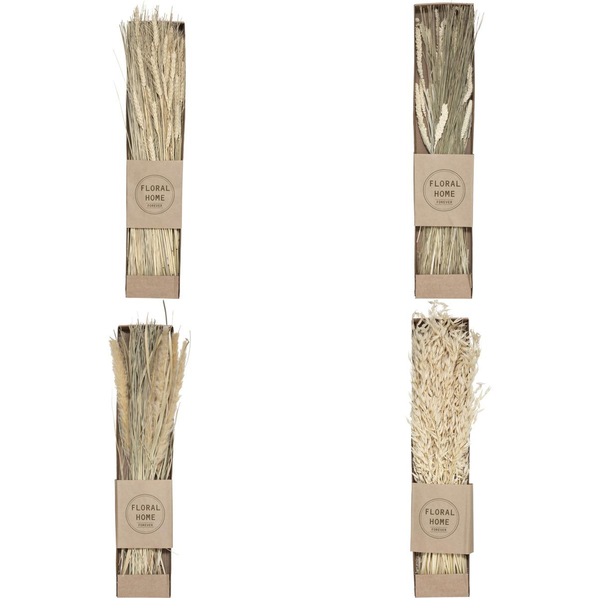BOUQUET SECHE NATUREL KRAFT H.60CM