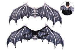 SQUELETTE D AILES DE CHAUVE SOURIS