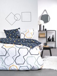 PARURE 200X210CM ET TAIE OREILLER 65X65CM 57 FILS MODELE 1