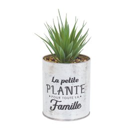 PLANTE ARTIFICIELLE SUCCULENTE POT METAL H12.5CM