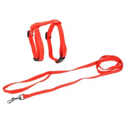 KIT HARNAIS ET LAISSE POUR CHAT 20 A 30CM 120CM ROUGE