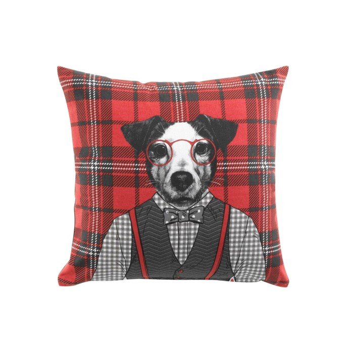 COUSSIN 40 X 40 CM COTON IMPRIME ALFRED