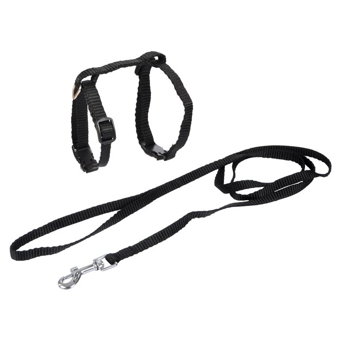 KIT HARNAIS ET LAISSE POUR CHAT 20 A 30CM 120CM NOIR