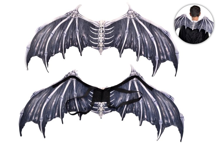 SQUELETTE D AILES DE CHAUVE SOURIS