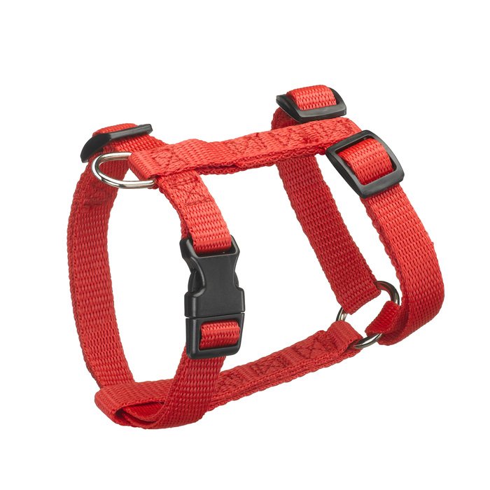 HARNAIS REGLABLE 35 A 50CM ROUGE