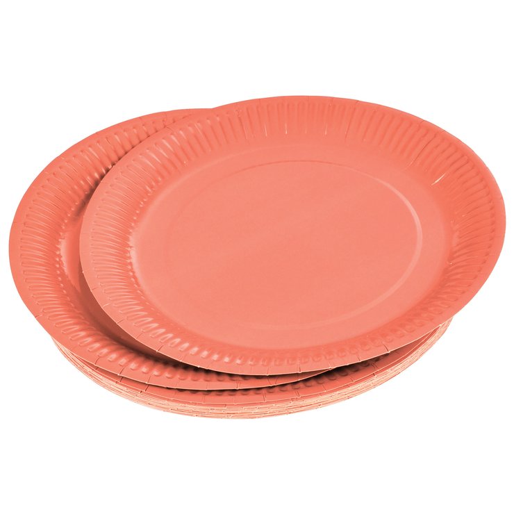 SET 20 ASSIETTES CARTON D.23CM TERRACOTTA