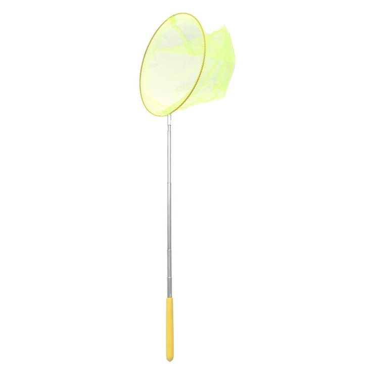 EPUISETTE A POISSON 87CM