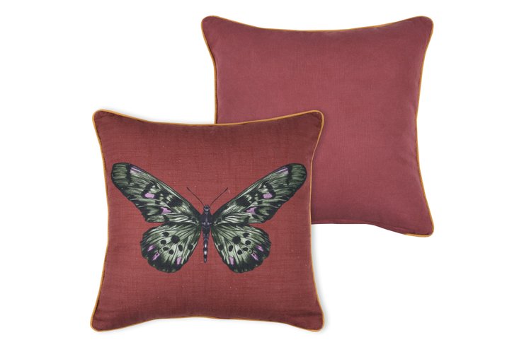 CURIOSITY COUSSIN 40X40CM GRENACHE