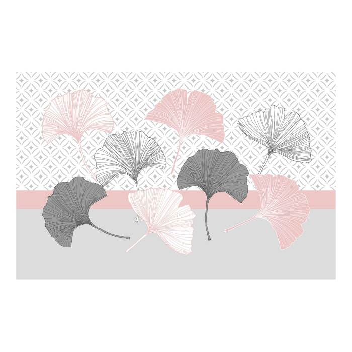 SET TABLE 28.5X43.5CM COQUETTERIE ROSE