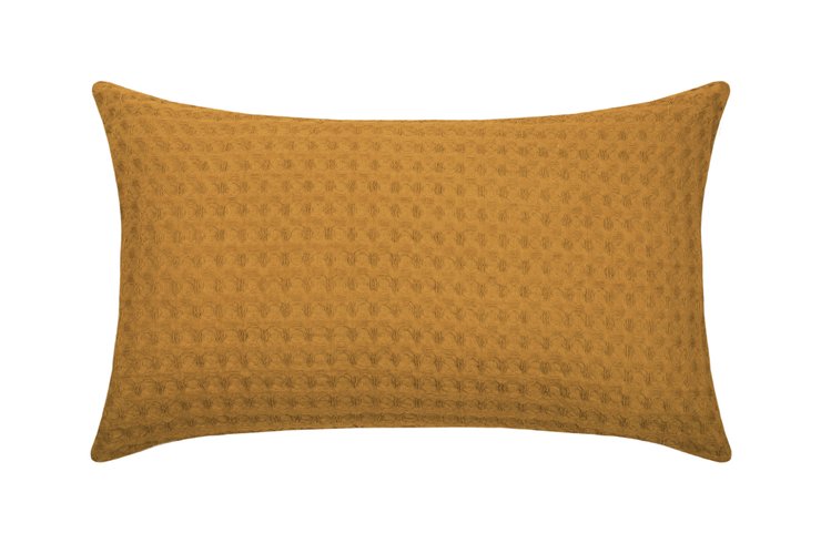GOPHER COUSSIN 30X50 CURRY