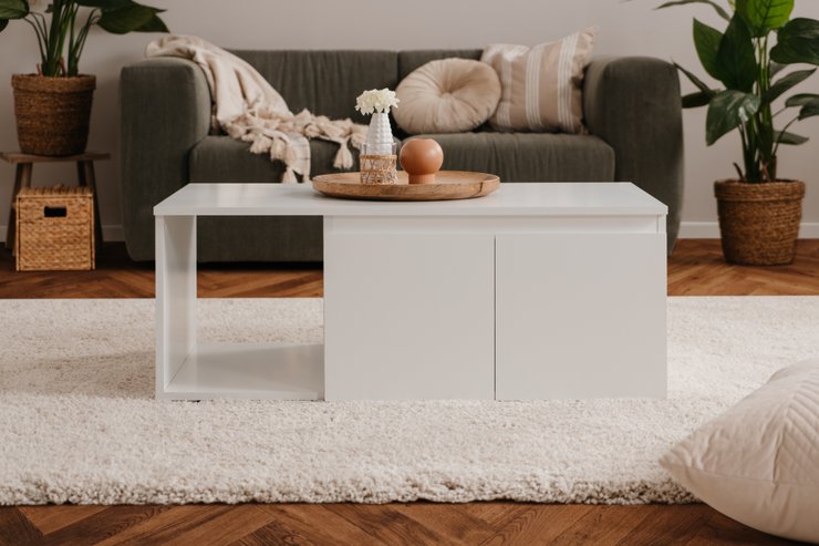 IMAGE TABLE BASSE BLANC 100X40X60CM