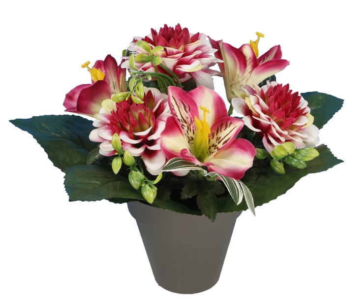 POT ZINNIAS ALSTROMERIAS