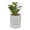 PLANTE POT CERAMIQUE REACTIVE H.30CM