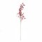 BRANCHE BAIES ROUGE H.73CM