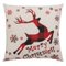 COUSSIN COTON RENNE 40X40CM